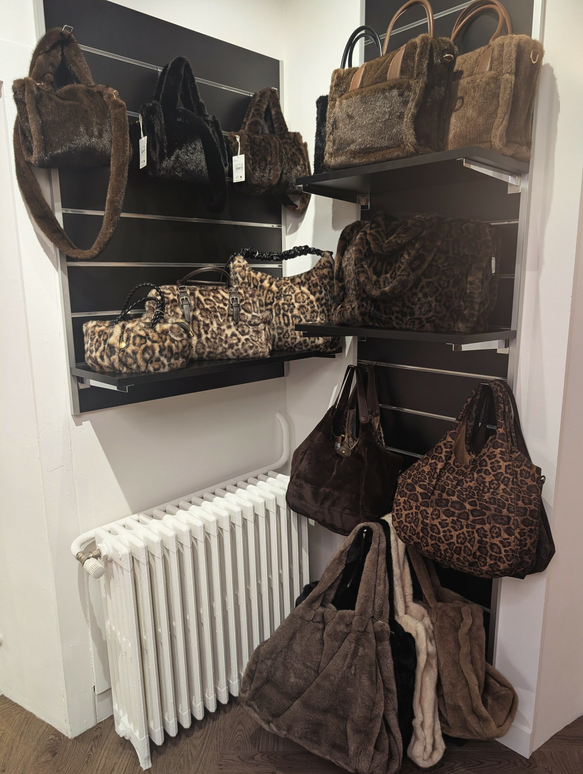 PXL_20251104_170110532.MP~2